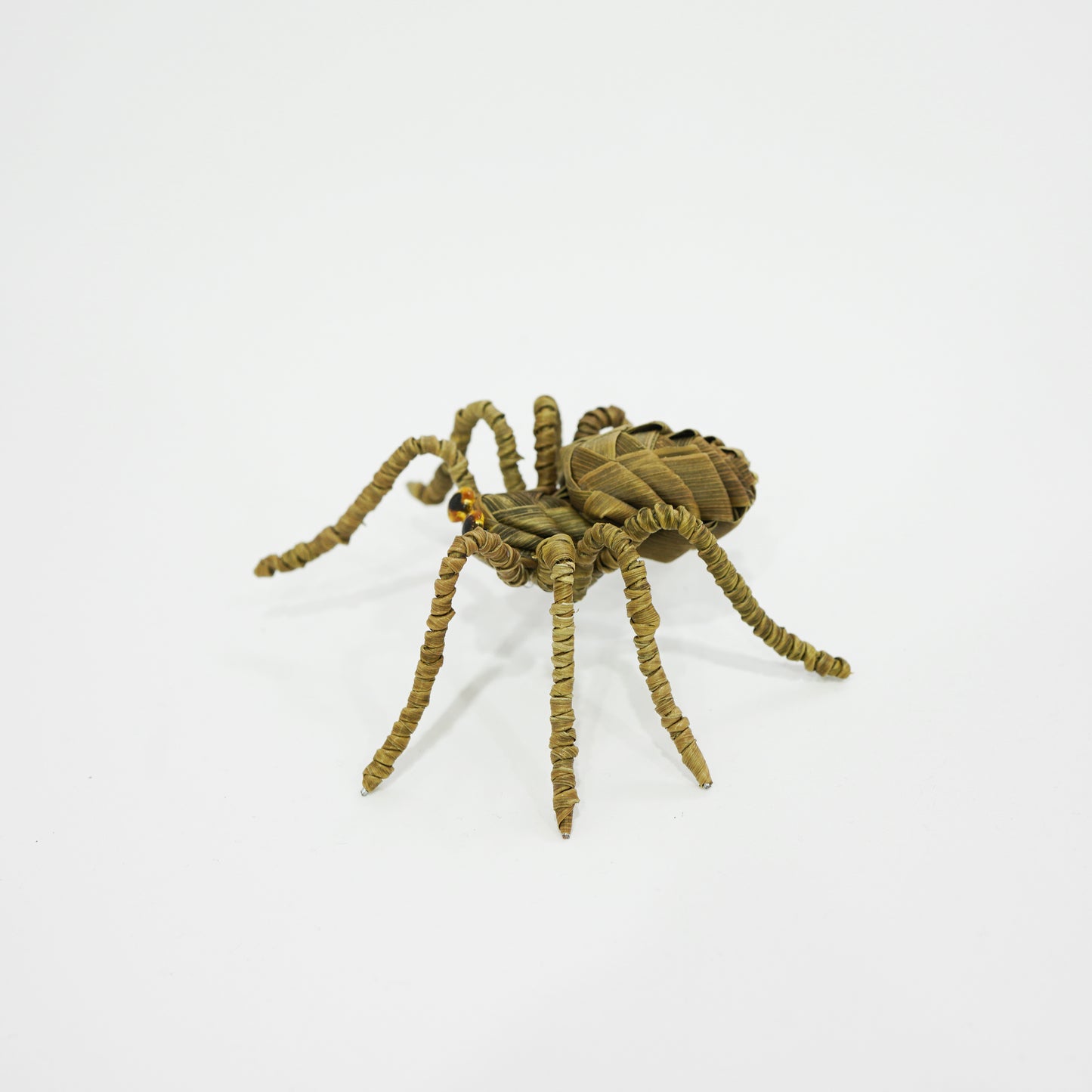 HanitiiPalm Fortune Spider Palm Weaving