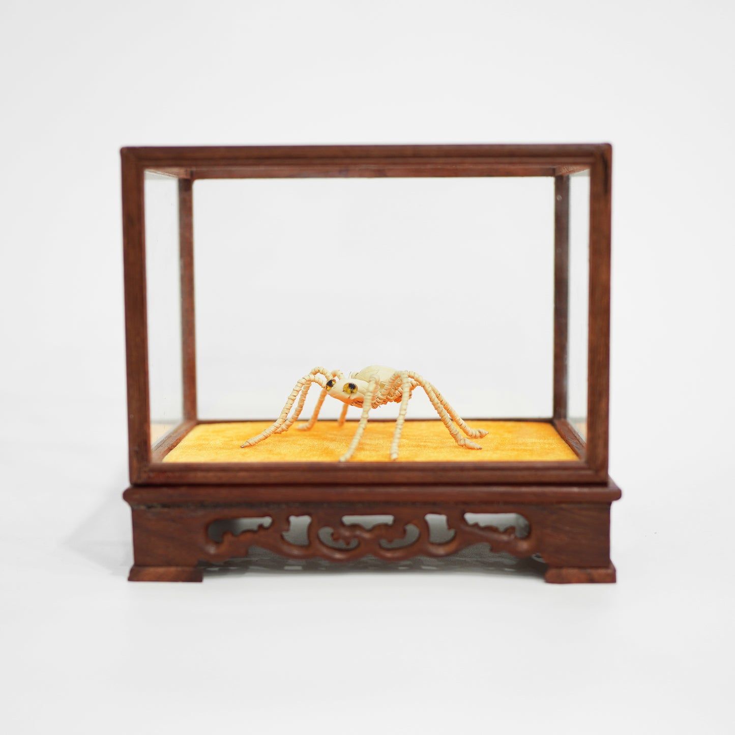 HanitiiPalm Fortune Spider Palm Weaving