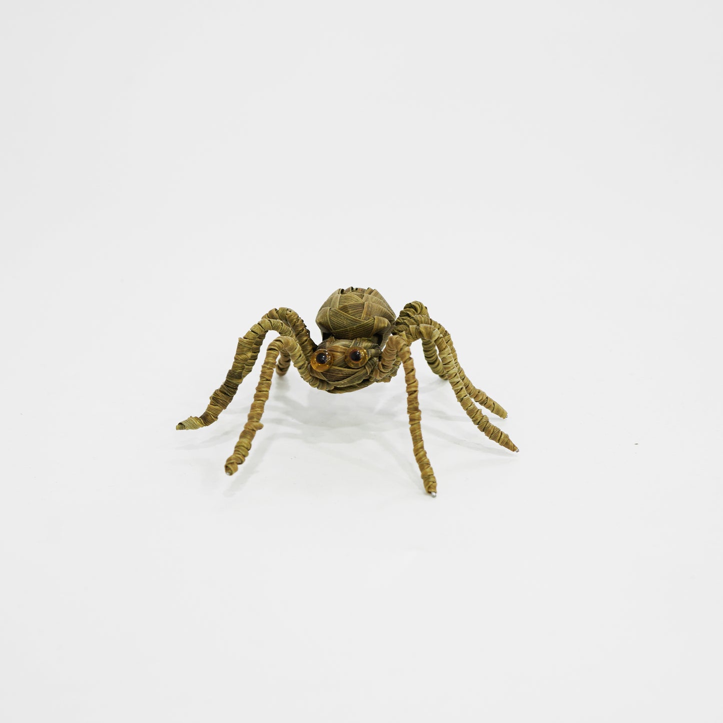 HanitiiPalm Fortune Spider Palm Weaving