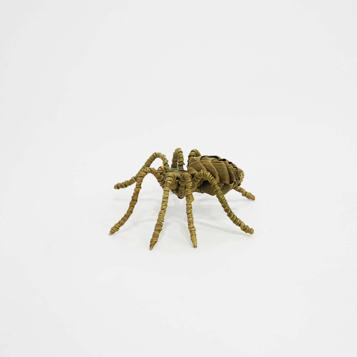 HanitiiPalm Fortune Spider Palm Weaving