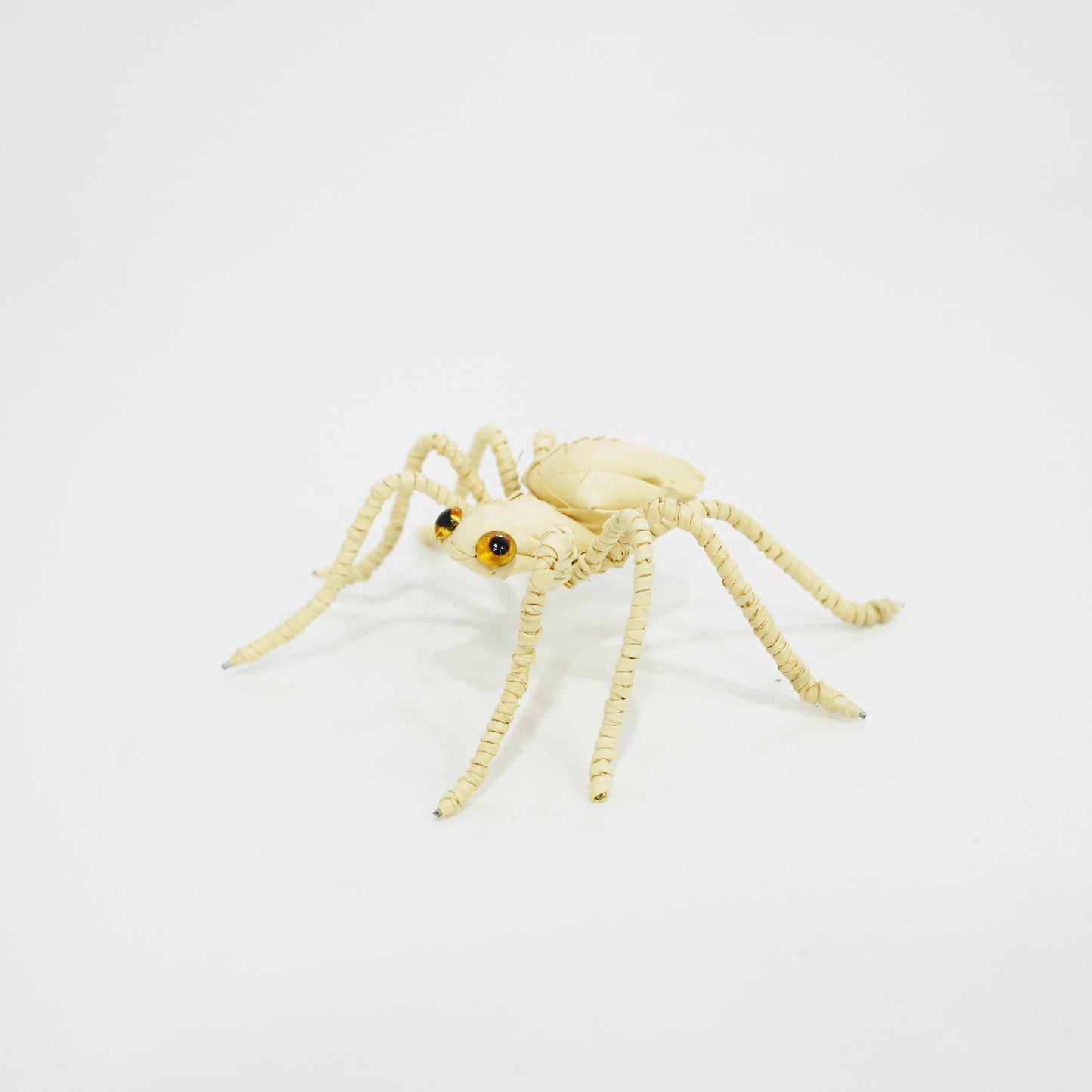 HanitiiPalm Fortune Spider Palm Weaving