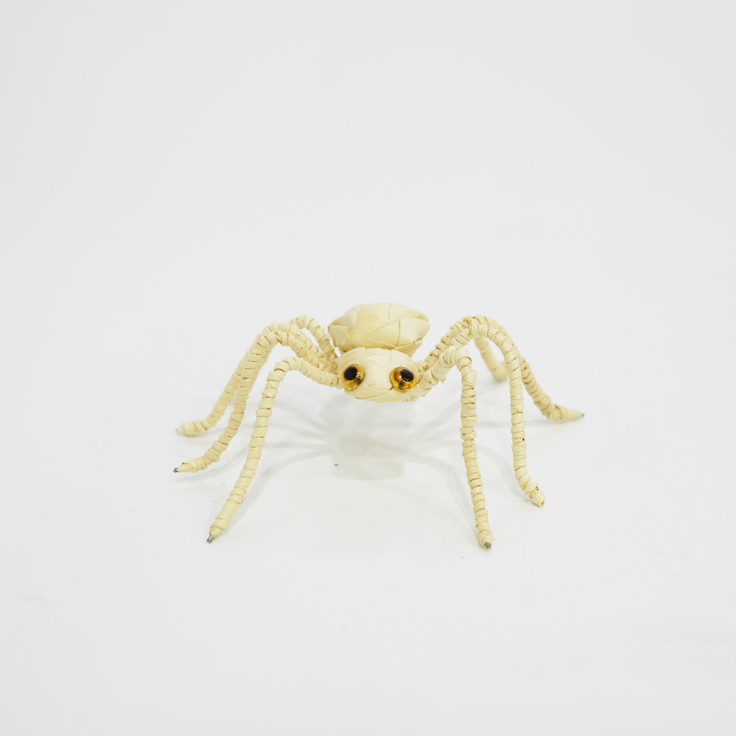 HanitiiPalm Fortune Spider Palm Weaving