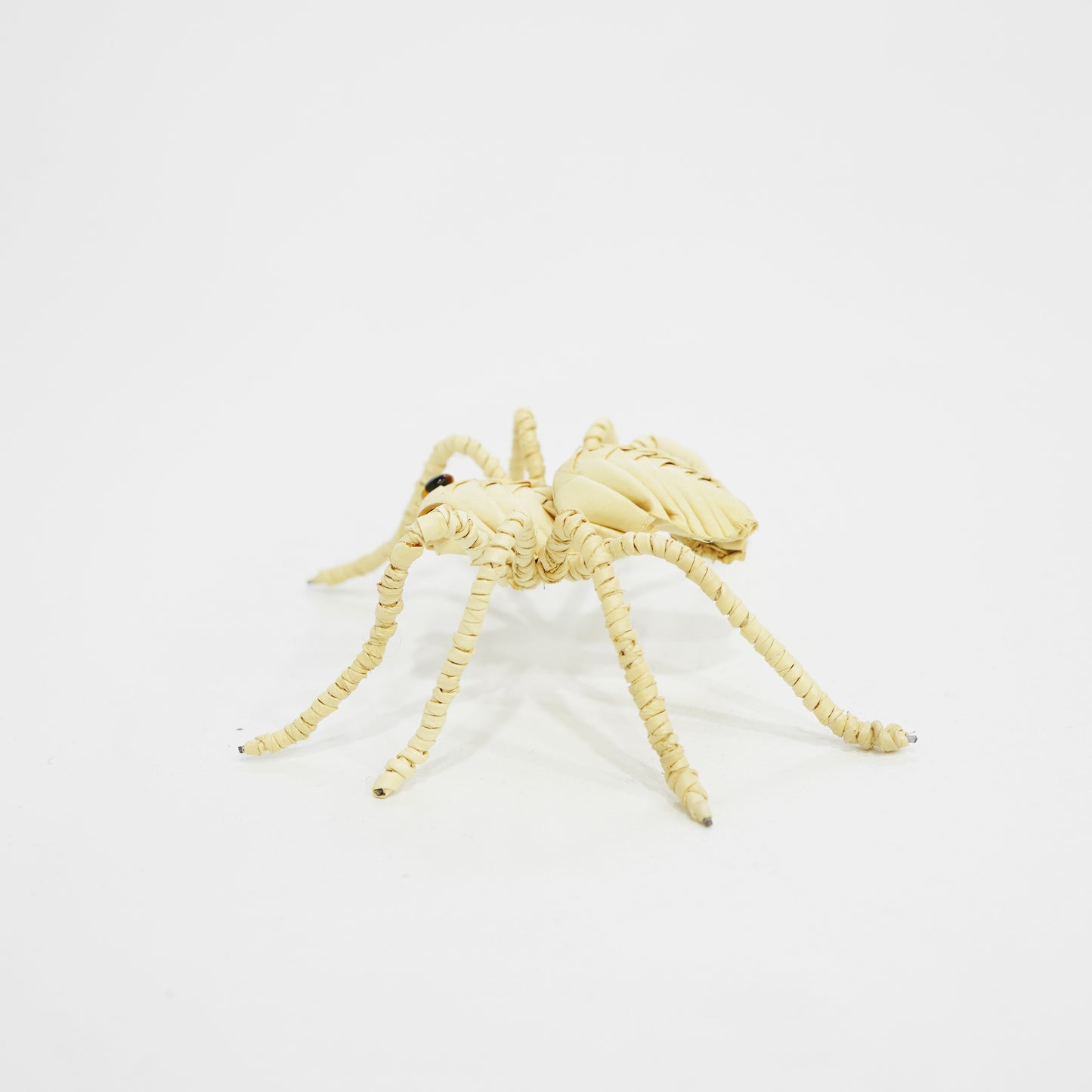 HanitiiPalm Fortune Spider Palm Weaving