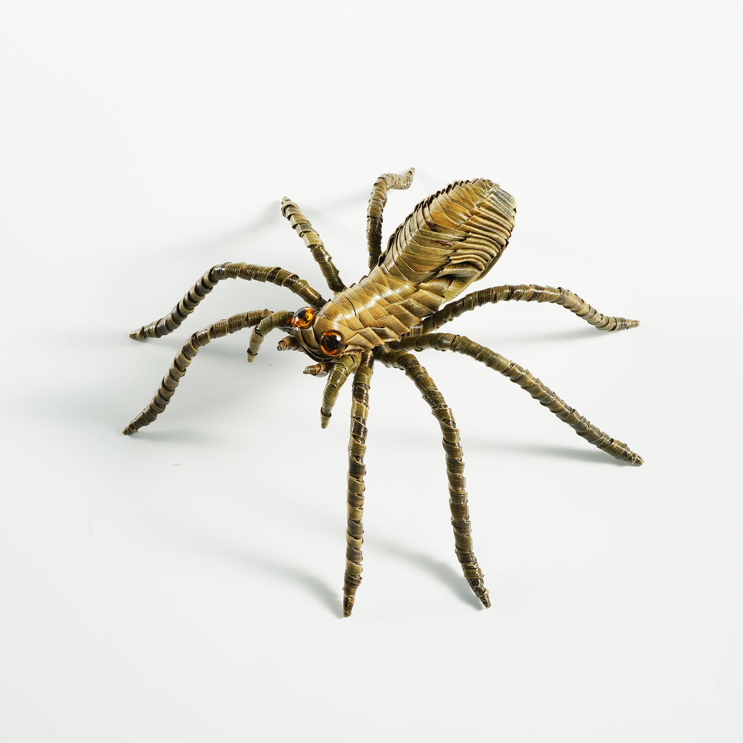 HanitiiPalm Fortune Spider Palm Weaving