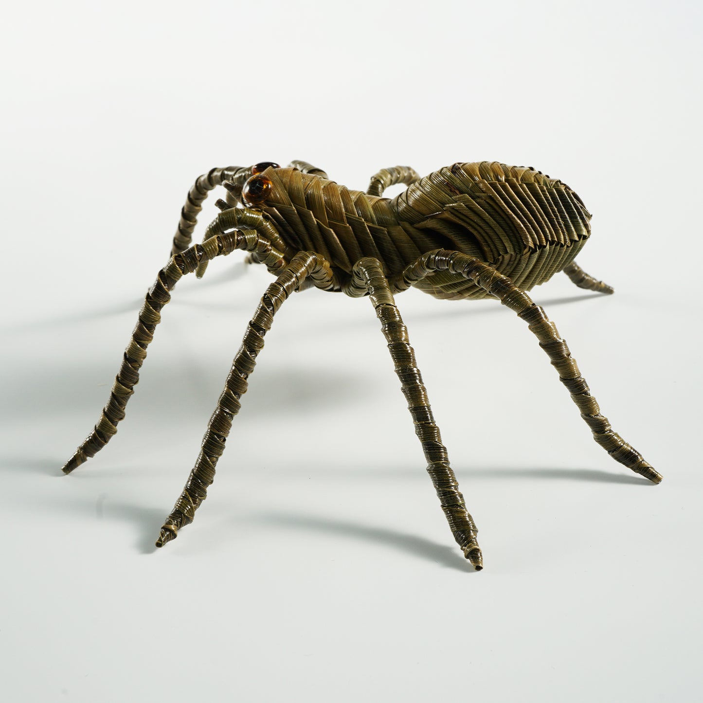 HanitiiPalm Fortune Spider Palm Weaving
