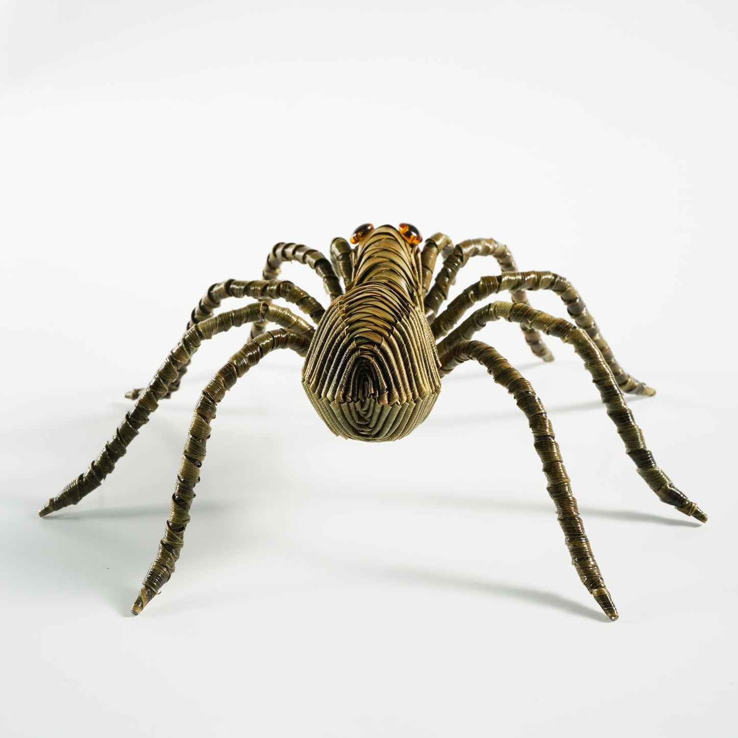 HanitiiPalm Fortune Spider Palm Weaving